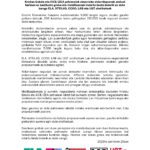 GIZARTE-EKIN-INICIATIVA-SOCIAL-HUELGA_page-0001