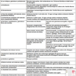 Haurreskolak_LAN-Eska_taula