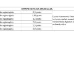 KONPETENTZIA DIGITALA