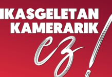 Eusko Jaurlaritzako Hezkuntza Saila ikastetxe publikoetan kamerak instalatzen hasi da, hezkuntza komunitatearen onarpenik gabe eta aurrez inongo informaziorik helarazi gabe